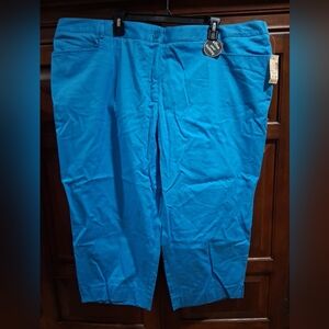 Blue Casual Pants